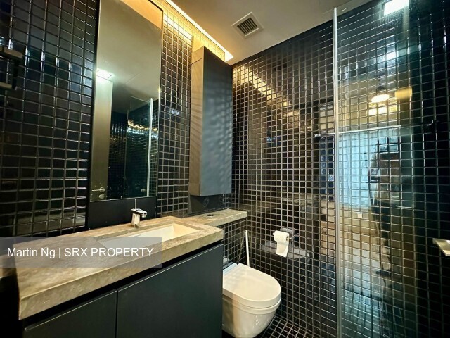 Skysuites@Anson (D2), Apartment #490335981